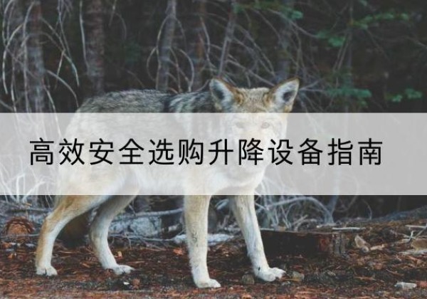 惠农升降货梯厂家推荐-*安全选购升降设备指南