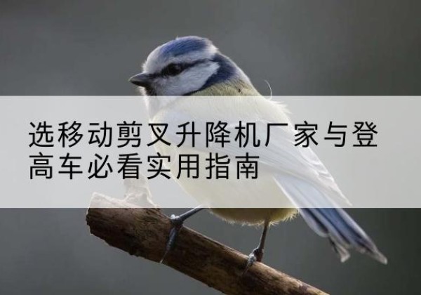 惠农电动升降机厂家-选移动剪叉升降机厂家与登高车必看实用指南